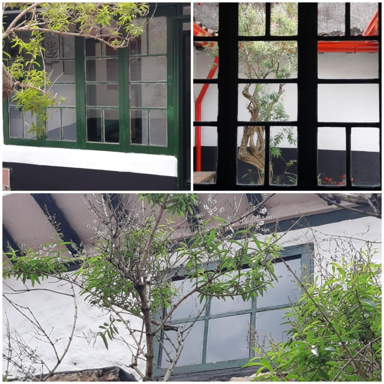 Cedron Hostel ボゴタ エクステリア 写真